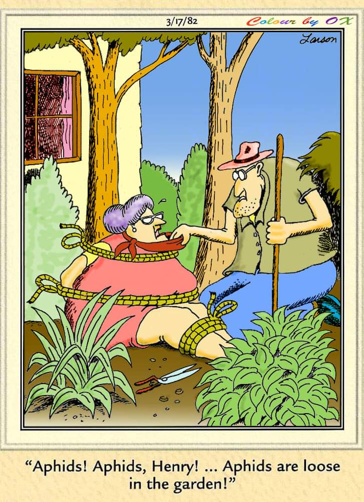 Comics with Humor The Far Side 1