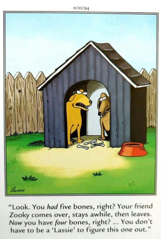 Comics with Humor The Far Side 17