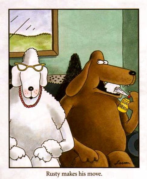 Comics with Humor The Far Side 18