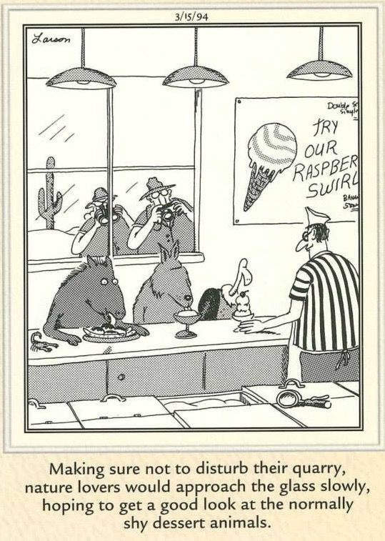 Comics with Humor The Far Side 19
