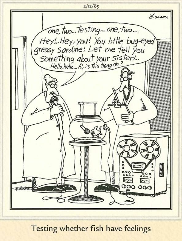 Comics with Humor The Far Side 20