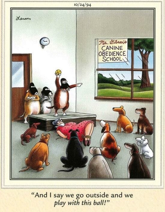 Far Side Dose for everyone 19