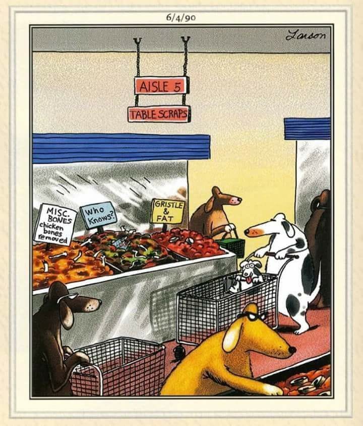 Far Side Dose for everyone 20