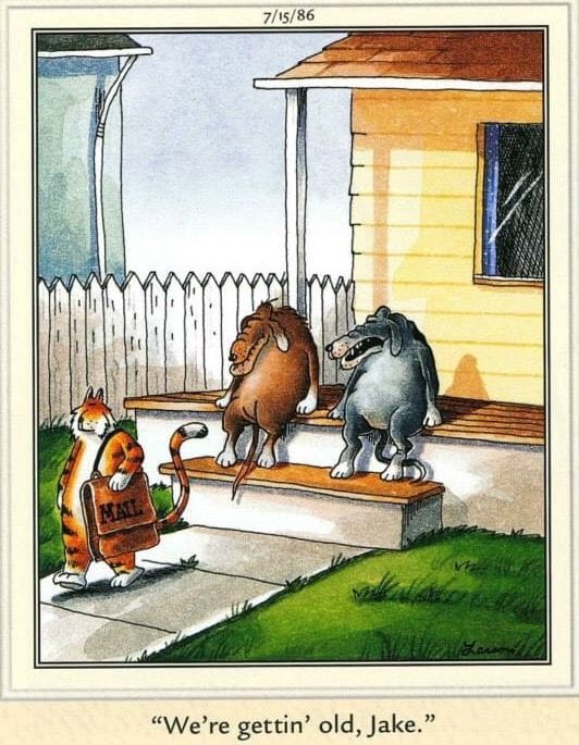 Far Side Dose for everyone 28