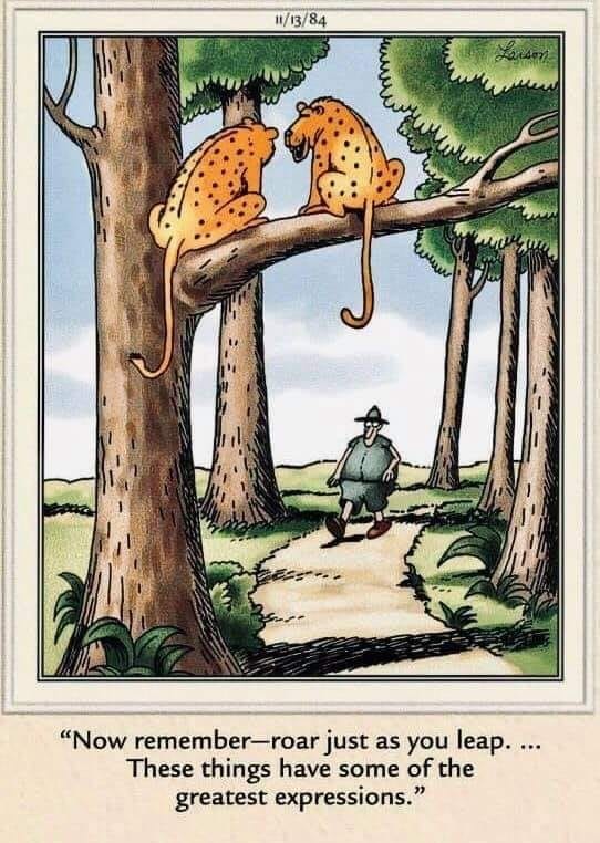 Far Side Dose for everyone 31