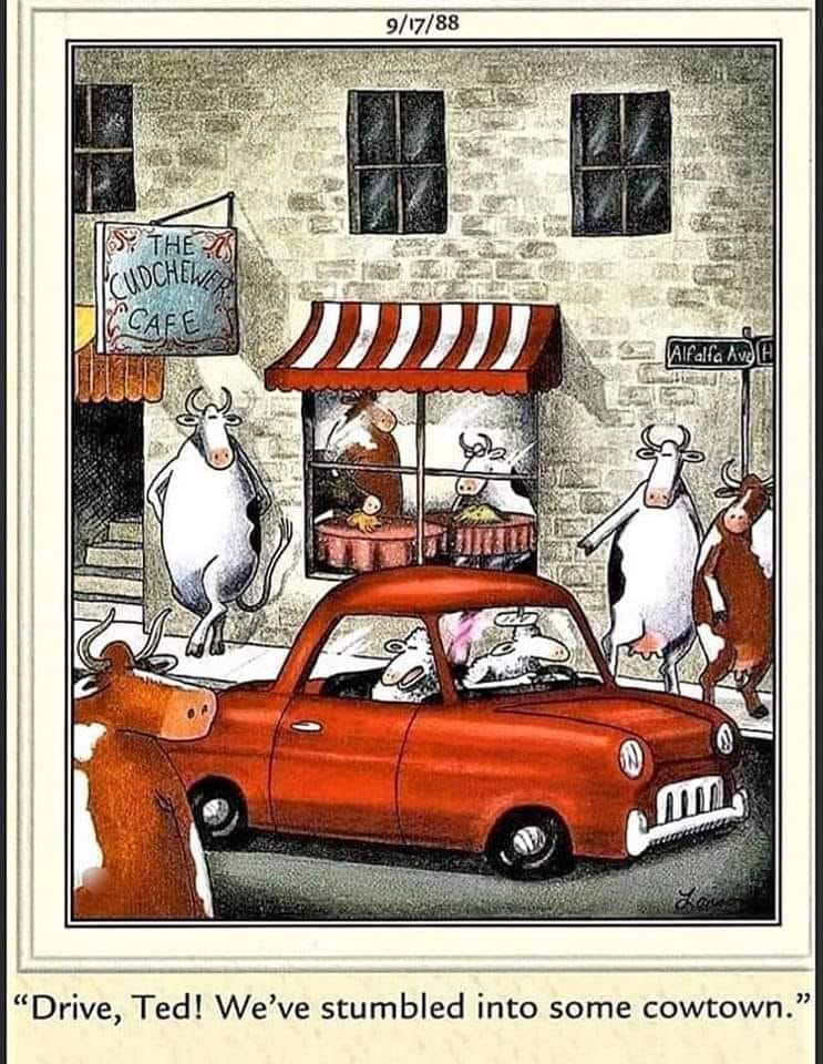 Far Side Dose for everyone 36