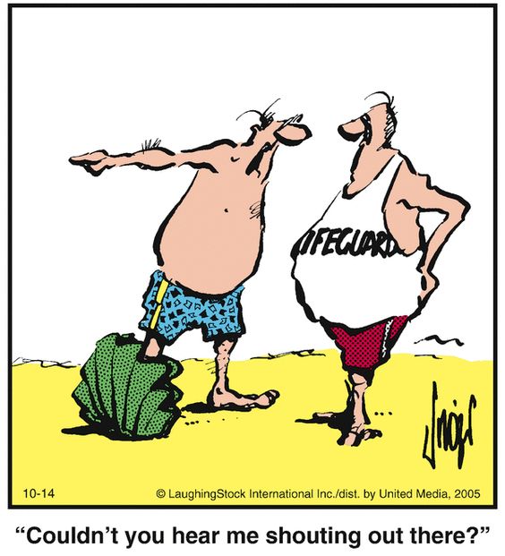 Herman Cartoon Strip 28