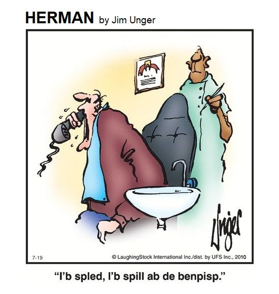 Herman Comics By Jim Unger 19
