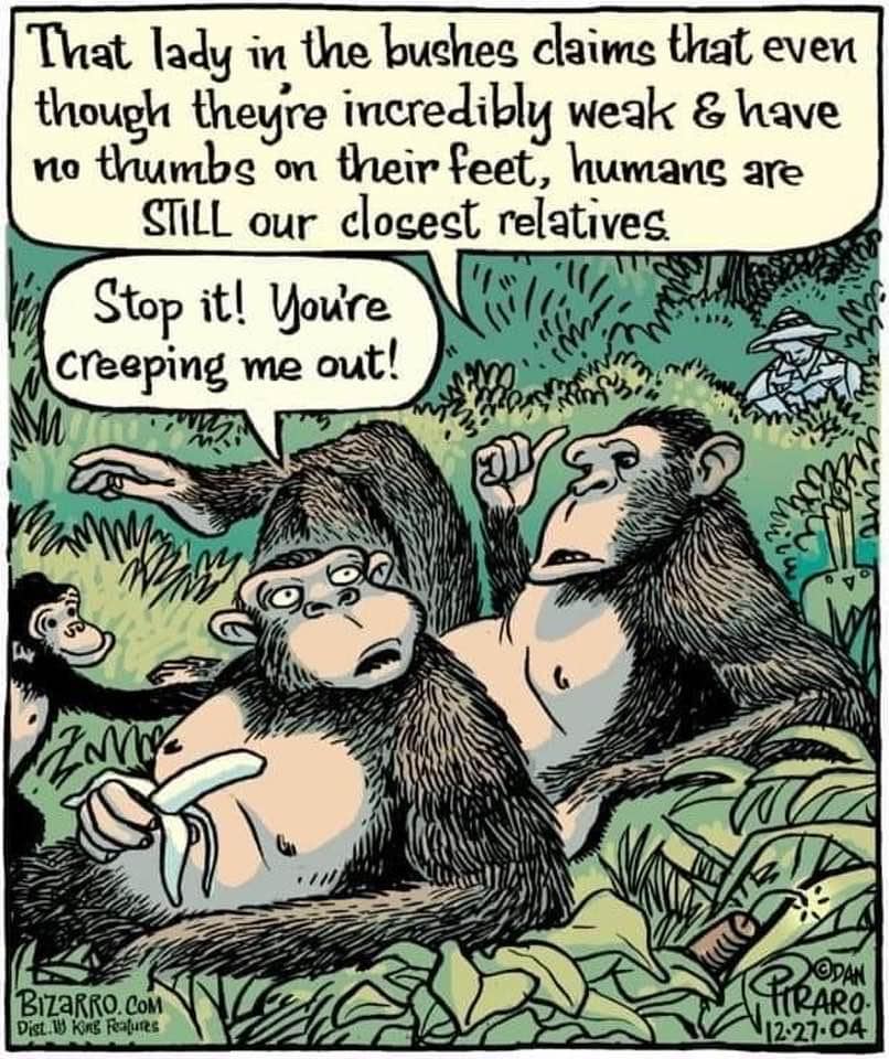 Bizarro Comics 24