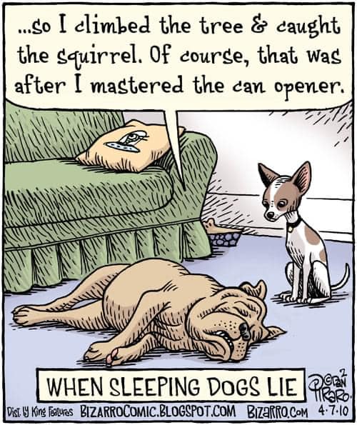 Bizarro Comics 25