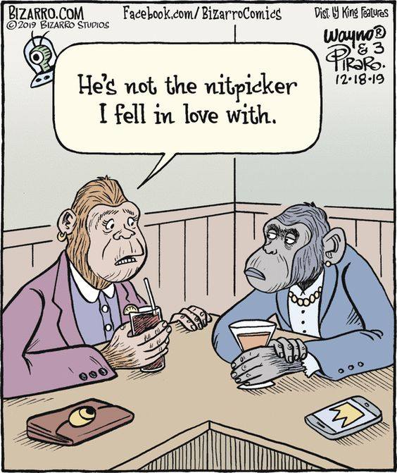 Bizarro Comics 27