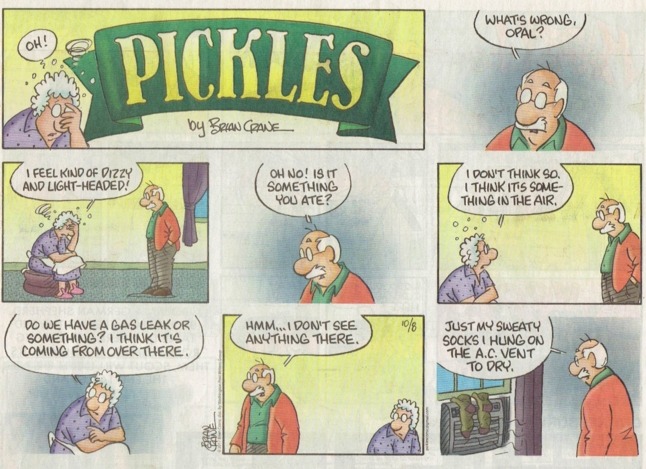 brian cranes pickles comic strip 24