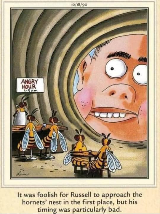 the far side comic strips 11