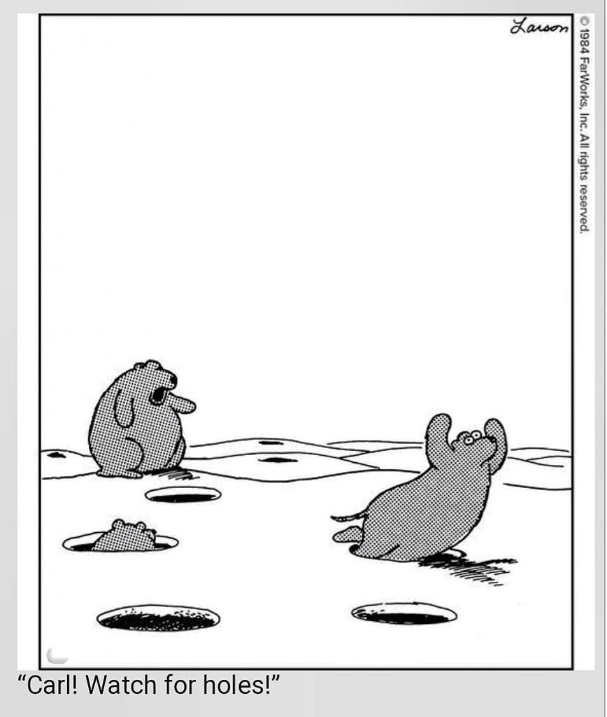 the far side comic strips 14