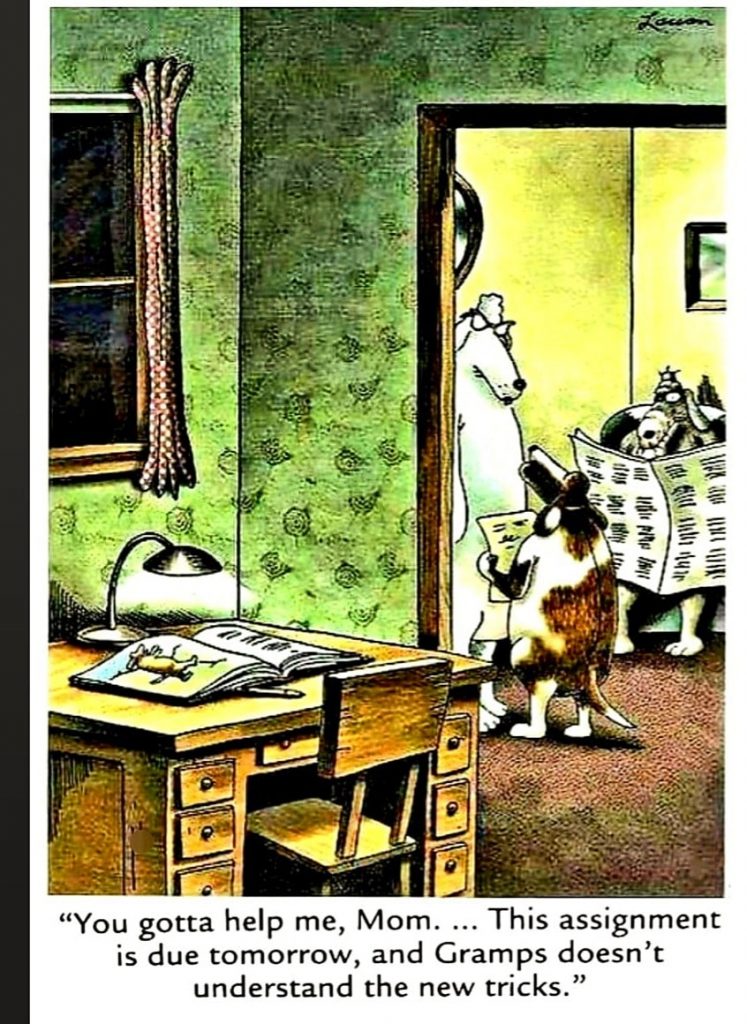 the far side comic strips 16