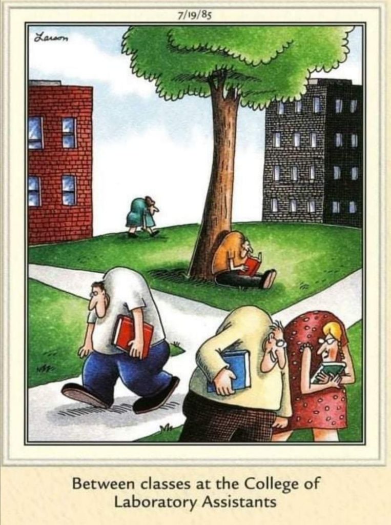 the far side comic strips 17