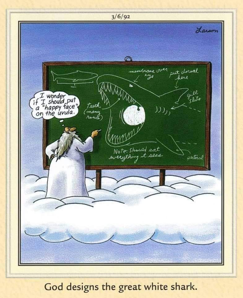 the far side comic strips 20