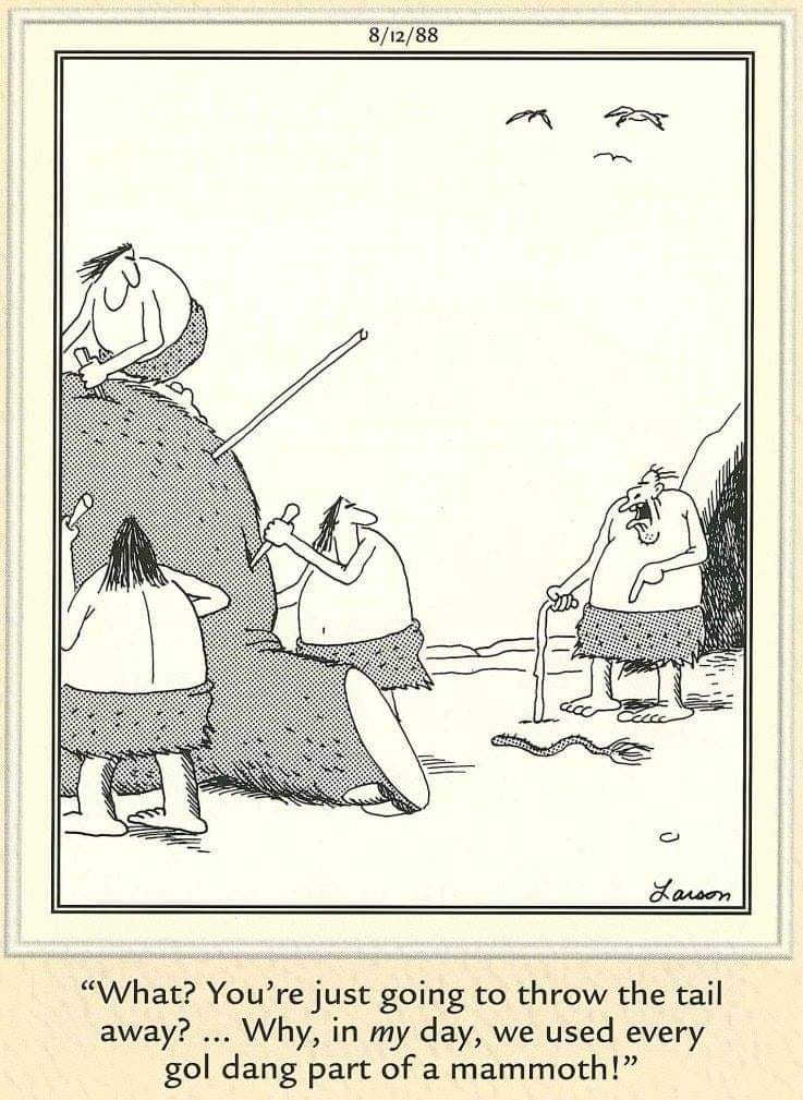 the far side comic strips 21