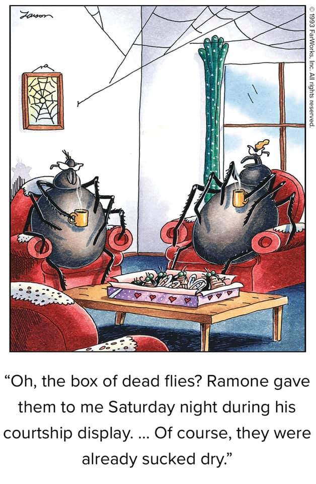 the far side comic strips 24