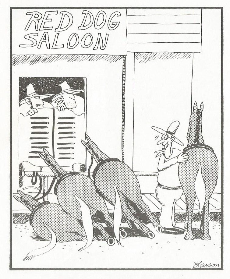 the far side comic strips 25