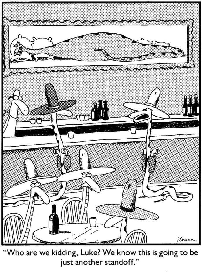 the far side comic strips 28