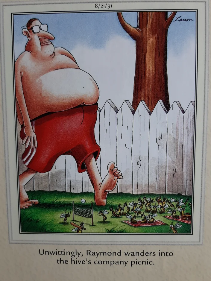 The Far Side Comics 10