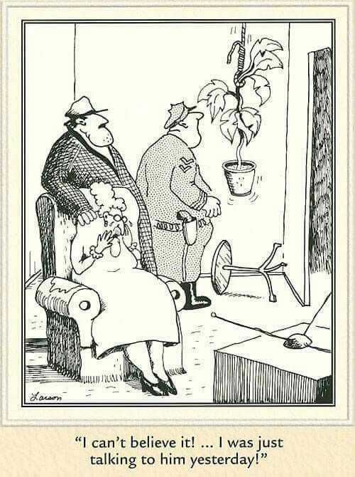 The Far Side Comics 11