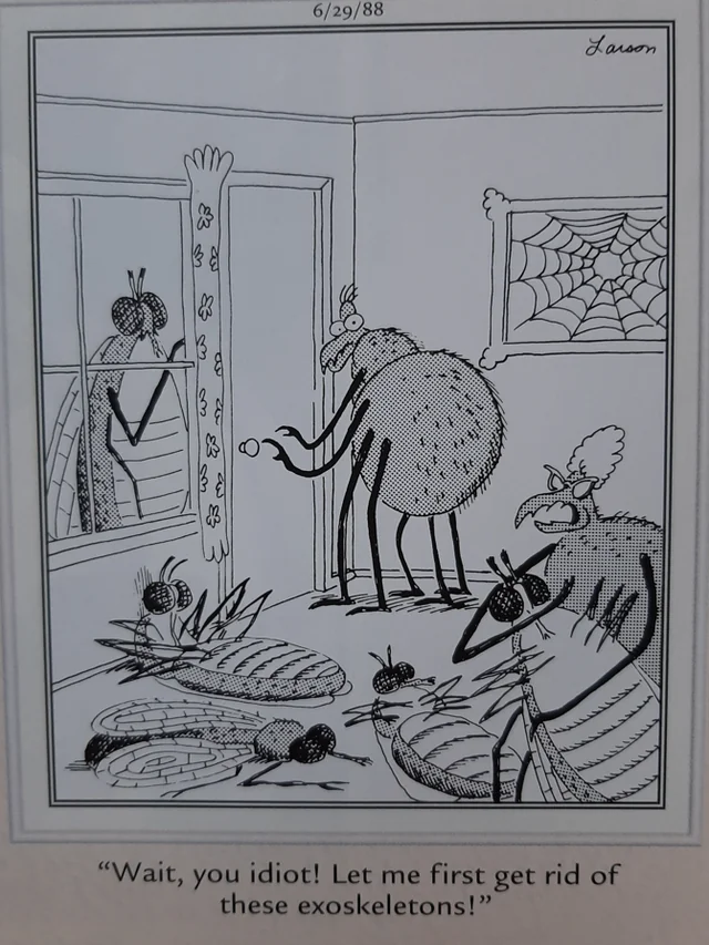 The Far Side Comics 14