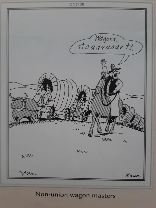 The Far Side Comics 15