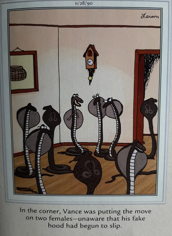 The Far Side Comics 16