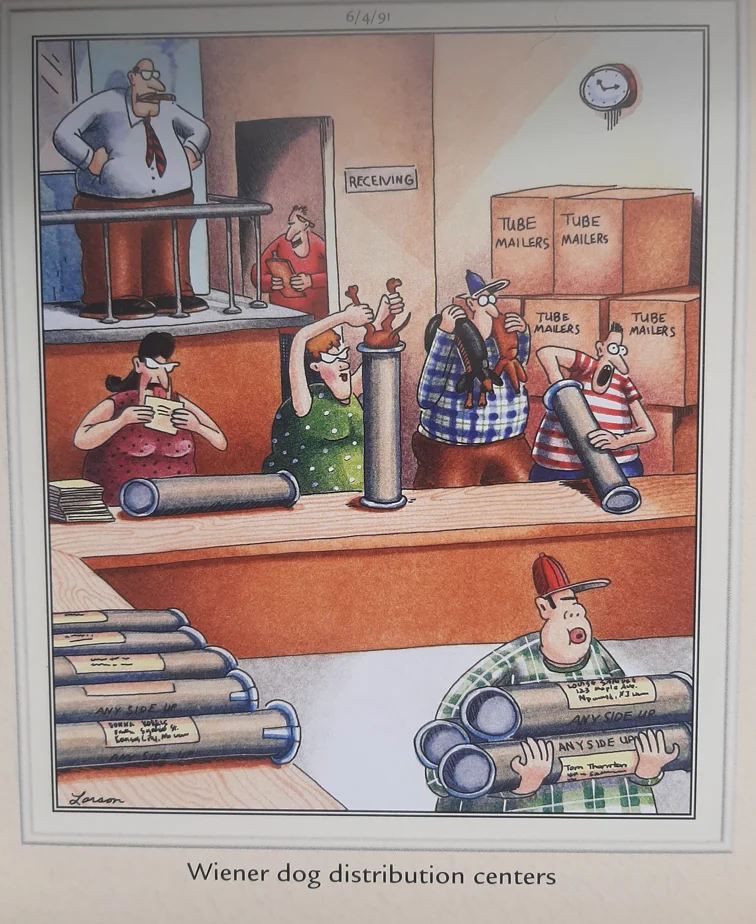 The Far Side Comics 17