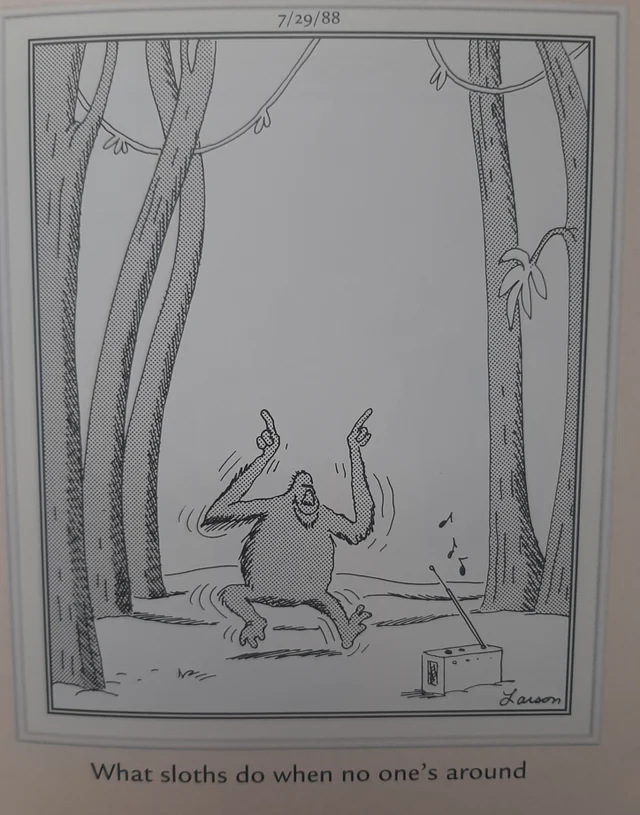 The Far Side Comics 30