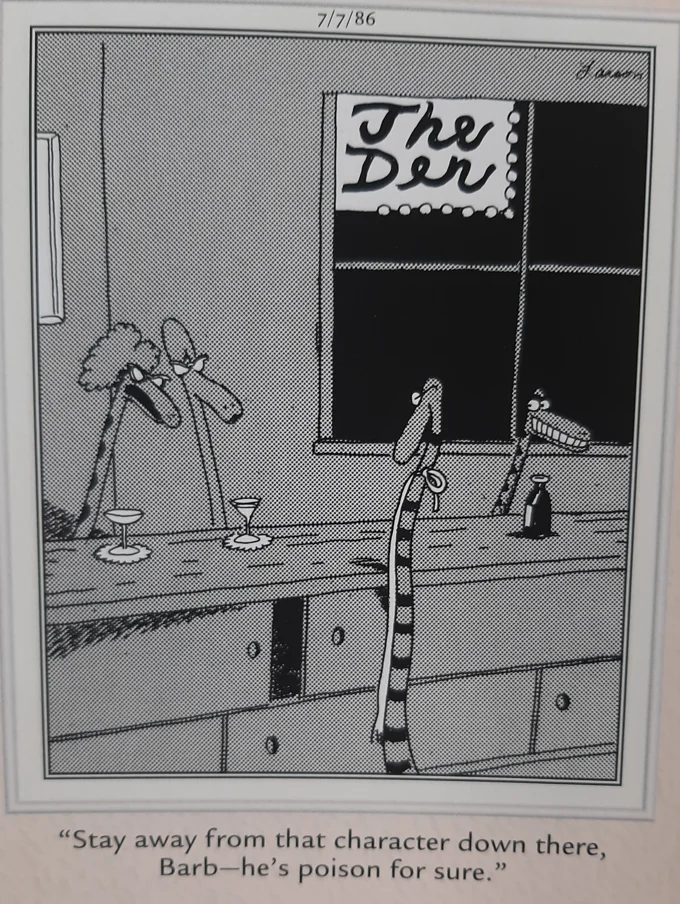 The Far Side Comics 33