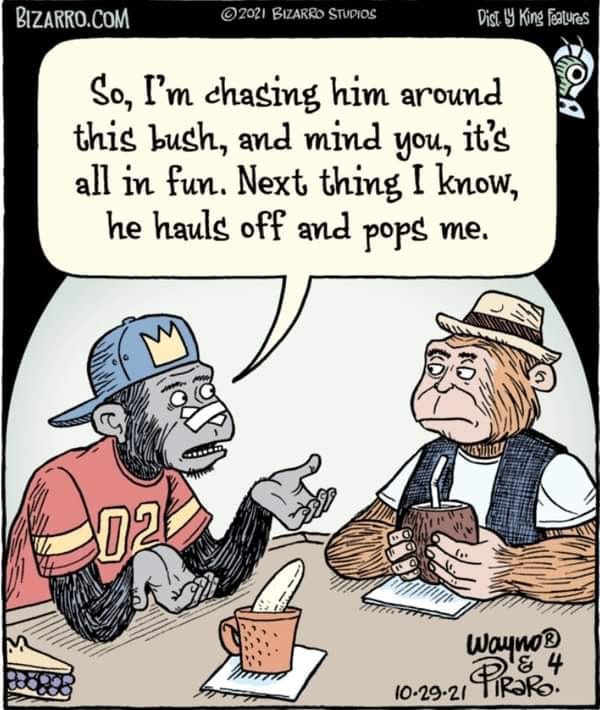 Bizarro Comics 13