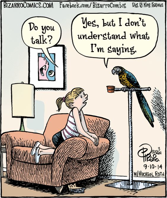 Bizarro Comics 19