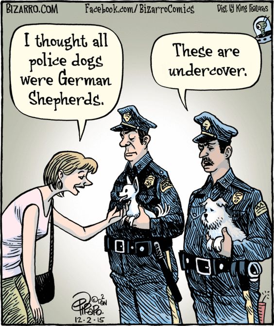 Bizarro Comics 47