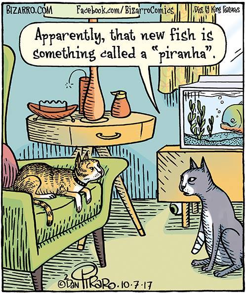 Bizarro Comics 8