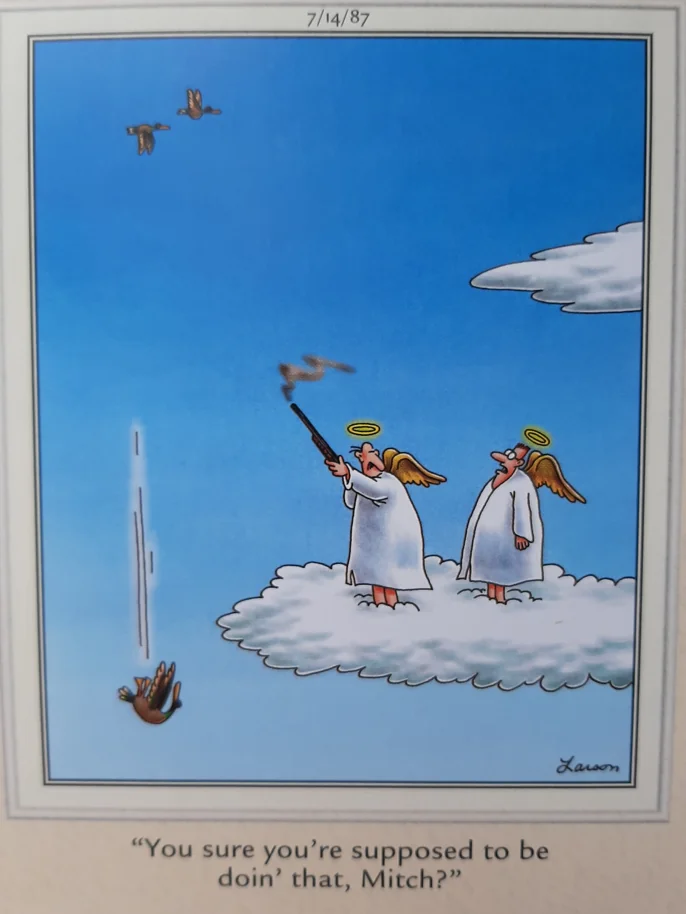 the far side comics by gary laron 14