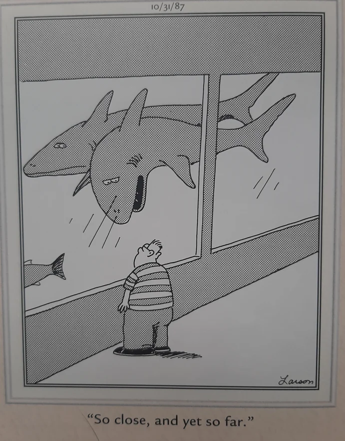 the far side comics by gary laron 165