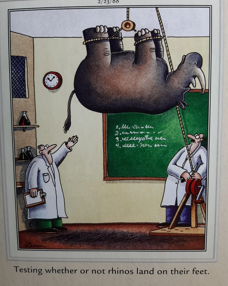 the far side comics by gary laron 231