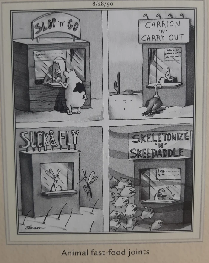 the far side comics by gary laron 467