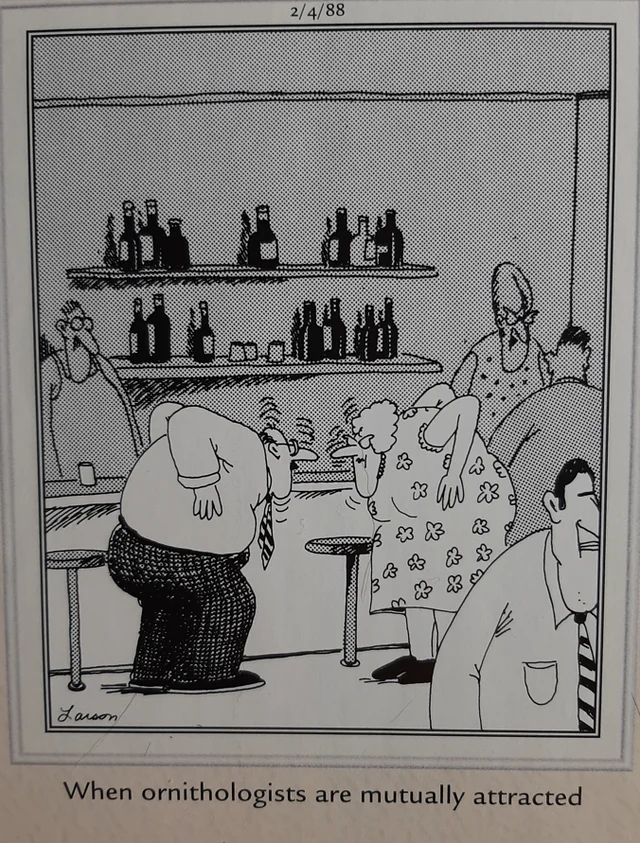 the far side comics by gary laron 470