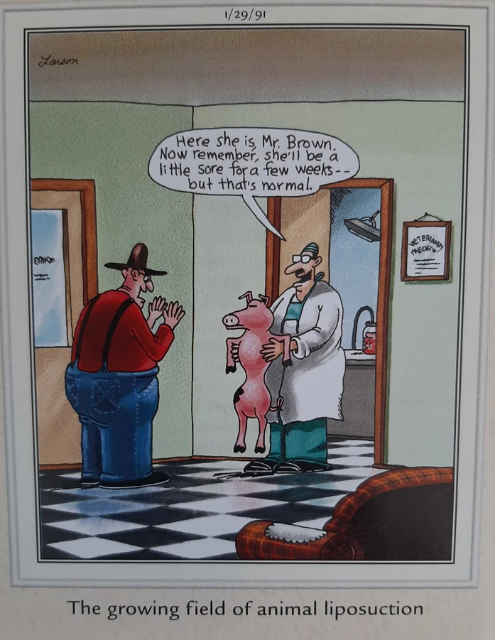 the far side comics by gary laron 52