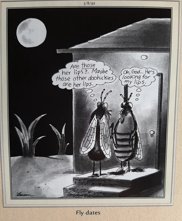 the far side comics by gary laron 1031