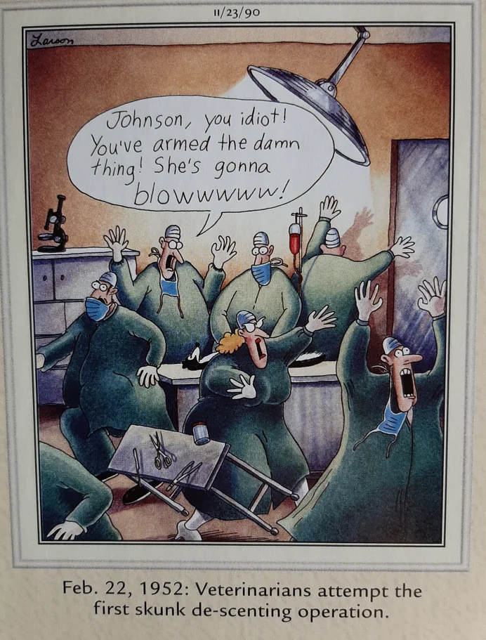 the far side comics by gary laron 1041