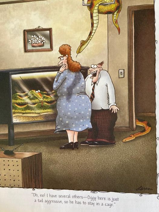 The Far Side Comics 20