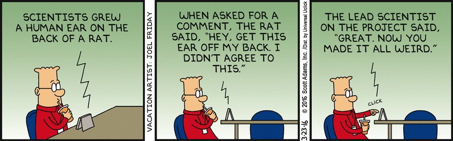 dilbert comics strip by scott adams 31