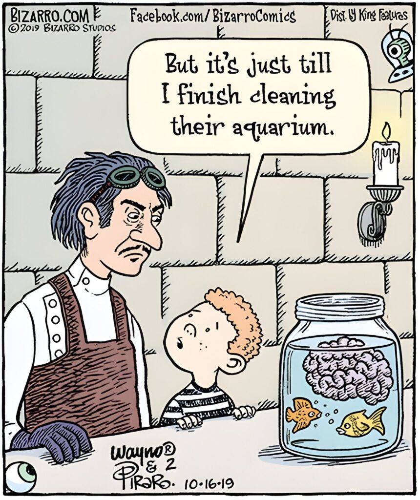 Bizarro Comics To Make Everyone Laugh 160