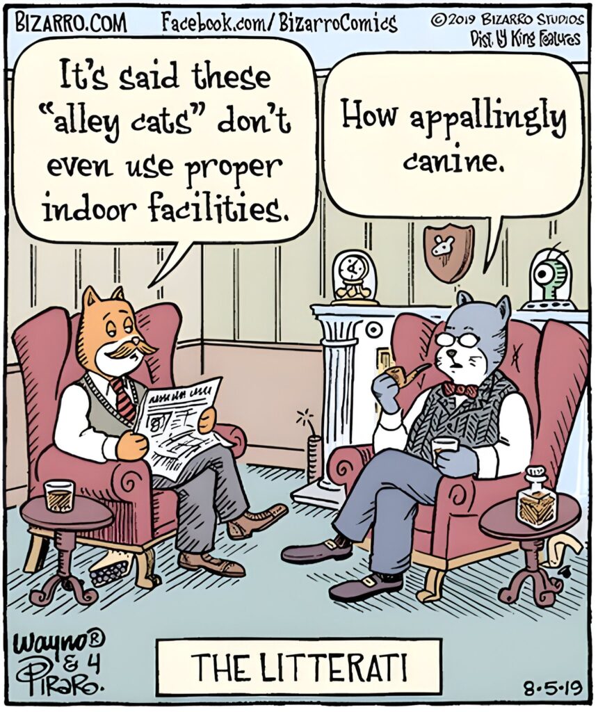 Bizarro Comics To Make Everyone Laugh 163