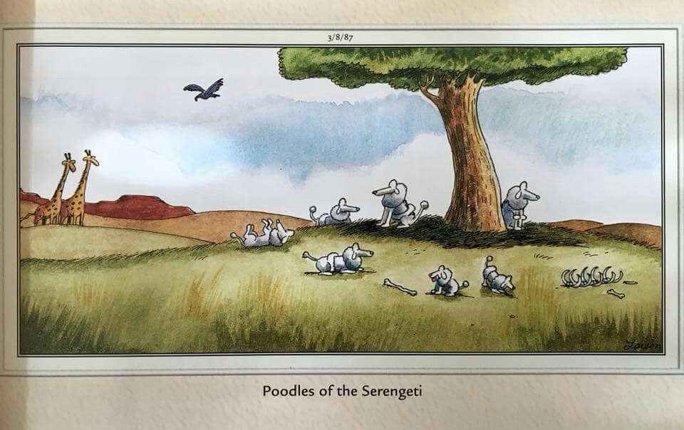 20 Best FS Comics That Will Make You Chuckle Hard 7 far side comics by gary 15